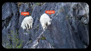 Mountain Goats: Kit Crashing S2 E01 Teaser