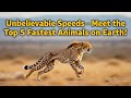 Unbelievable Speeds - Meet the Top 5 Fastest Animals on Earth!