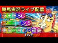 【中央競馬ライブ配信】京王杯SC ユニコーンS 東京 京都 新潟【パイセンの競馬チャンネル】