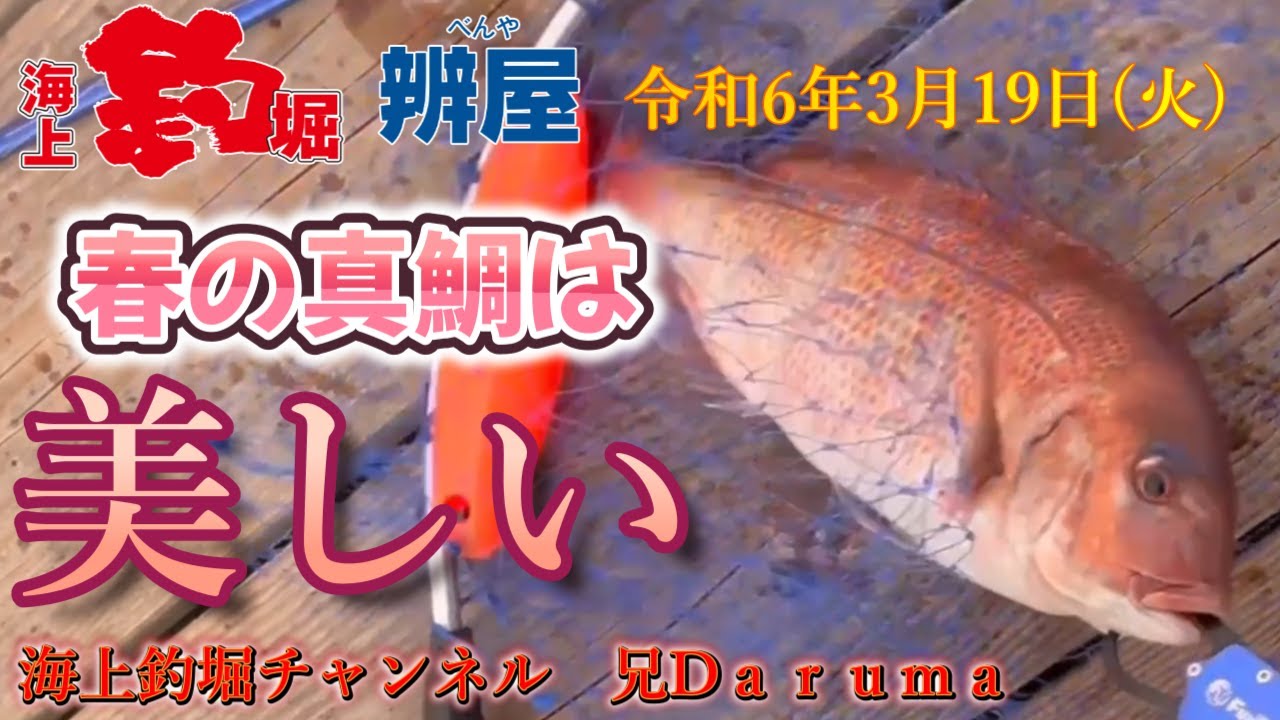 【海上釣堀】海上釣堀辨屋さん令和6年3月19日（火)の乗合釣行の模様です。当日は激渋釣果でした。そんな中、対面のロッシーさんはイッパイ釣り上げてました。さすがです。
