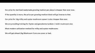 Ganoderma Lucidum mushroom cultivation method
