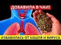 Очистила Лёгкие И Избавилась От Кашля, Вируса За Одну Ночь, Просто В Чай Добавила Несколько…