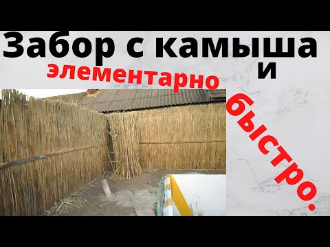 Как из камыша сделать забор своими руками