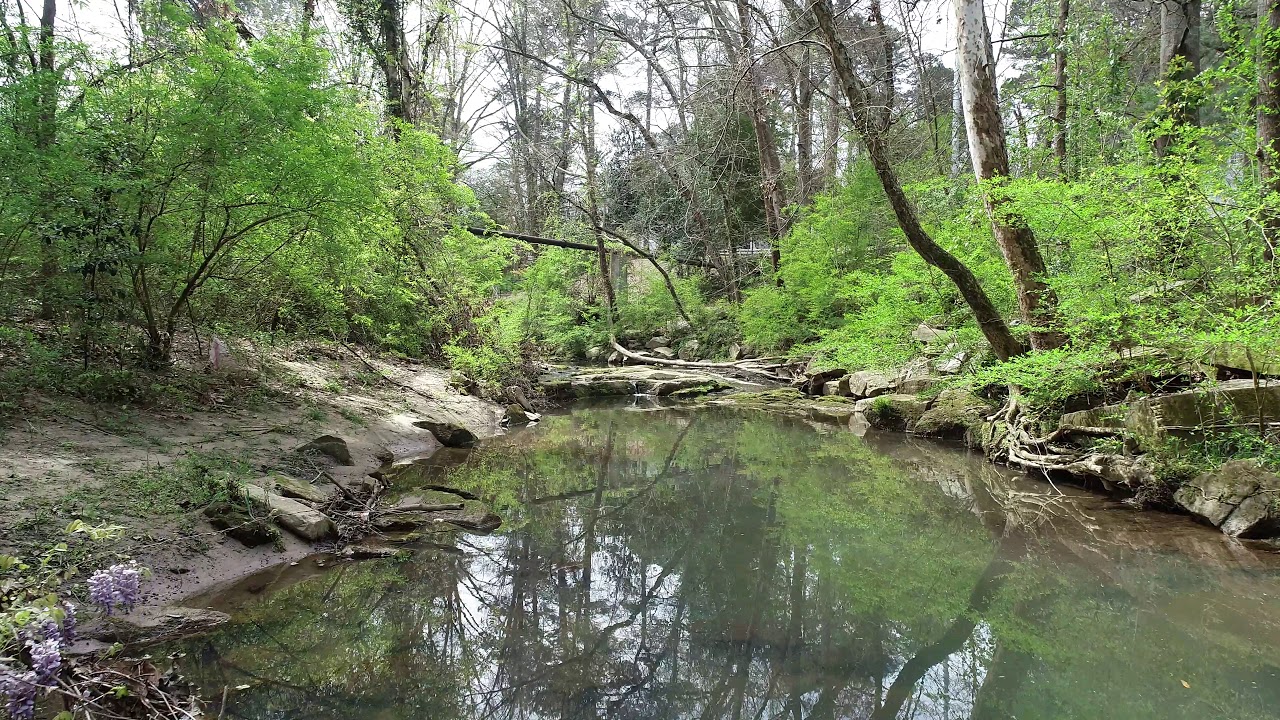 Peachtree Creek