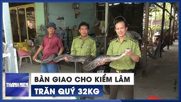 Người dân TP.HCM bàn giao con trăn quý 32kg cho kiểm lâm