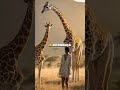 Curiosidades Surpreendentes da Natureza!