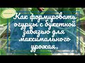 🥒 Как формировать самоопыляемые огурцы с букетной (пучковой) завязью в теплице. Марценюк Надежда 🥒