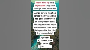 Prove Your IQ: This Impossible Dog Trick Stumps Even Smarties!