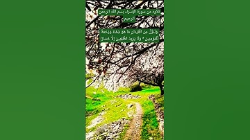 تلاوه من سورة الإسراء ♥️ونُنَزِّلُ مِنَ الْقُرْءَانِ مَا هُوَ شِفَاءٌ وَرَحْمَةٌ لِّلْمُؤْمِنِينَ ♥️