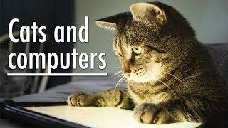 Cats and computers 2016. The best compilation cats with a computer 2016 #2 Cats and computers 2016. The best compilation cats with a computer 2016 #2