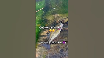 Thumbnail of Lil Dink🤭🤭😜🔥 #newmusic #music #song #trending #musicgen #fishingvideo #fishing