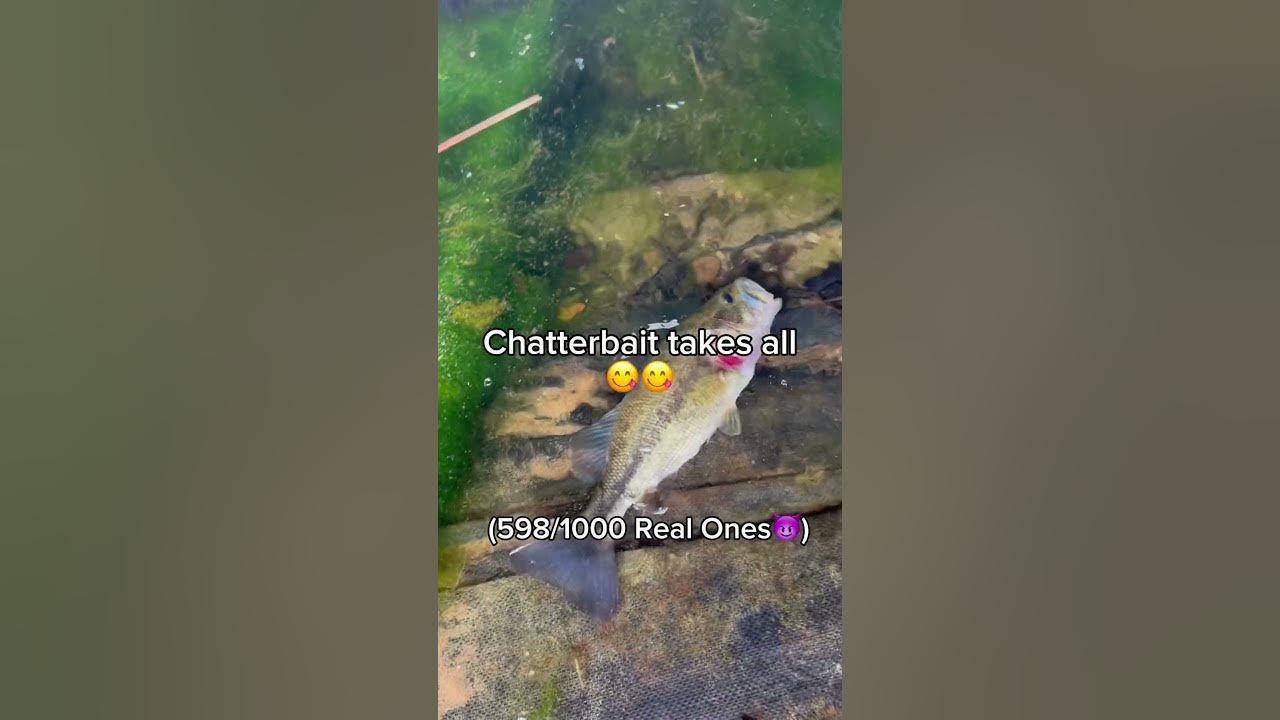 Lil Dink🤭🤭😜🔥 #newmusic #music #song #trending #musicgen #fishingvideo #fishing