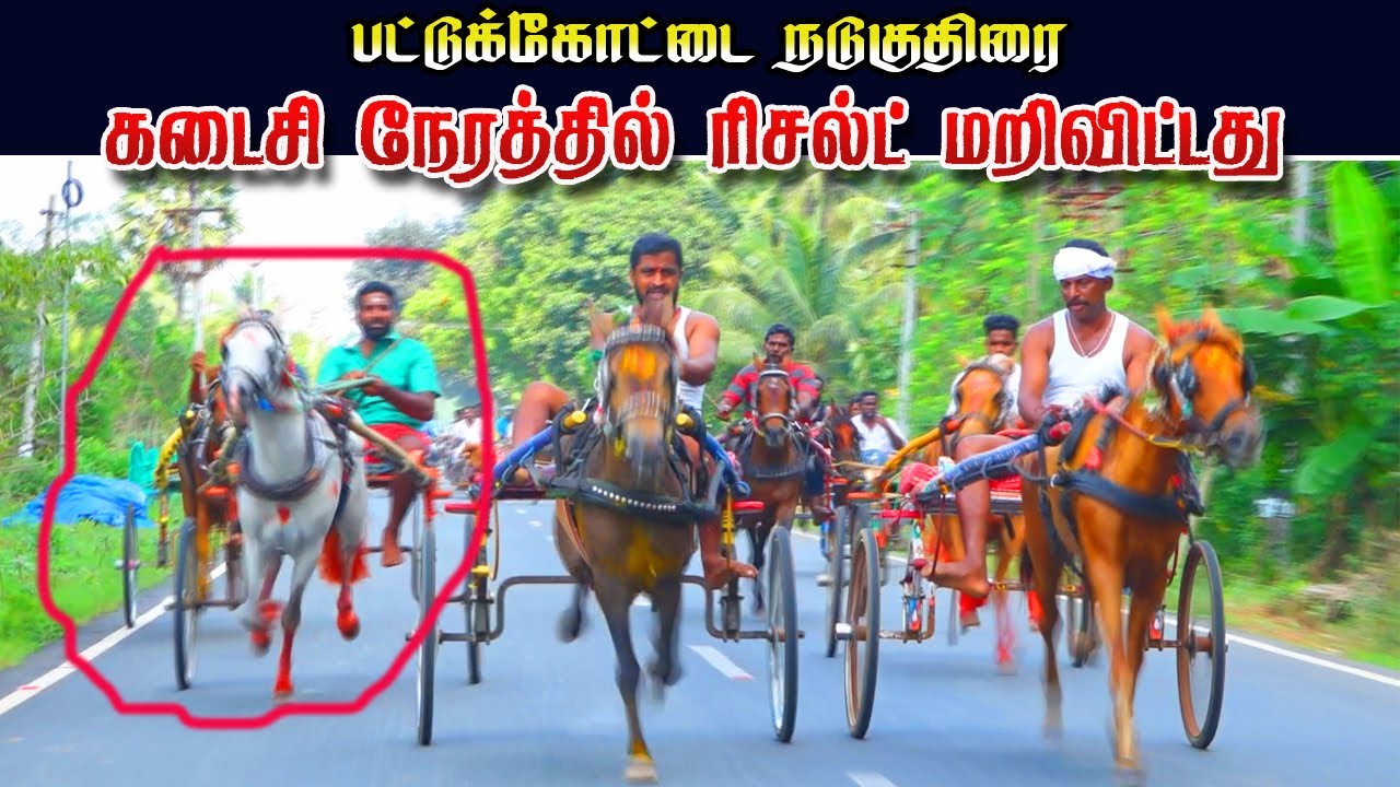 பட்டுக்கோட்டை நடுகுதிரை 04/12/2022 pattukottai nadukuthirai ksk