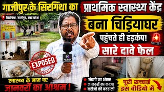 #ghazipur के सिरगिथा प्राथमिक स्वास्थ्य केंद्र बना चिड़ियाघर सारे दावे हुवे फेल पहुँचते ही मचा हड़कम्प