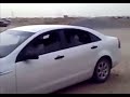 شوط انتحاري كنق الشفا على حمار ابيض شطحه شوط انتحاري كنق الشفا على حمار ابيض شطحه