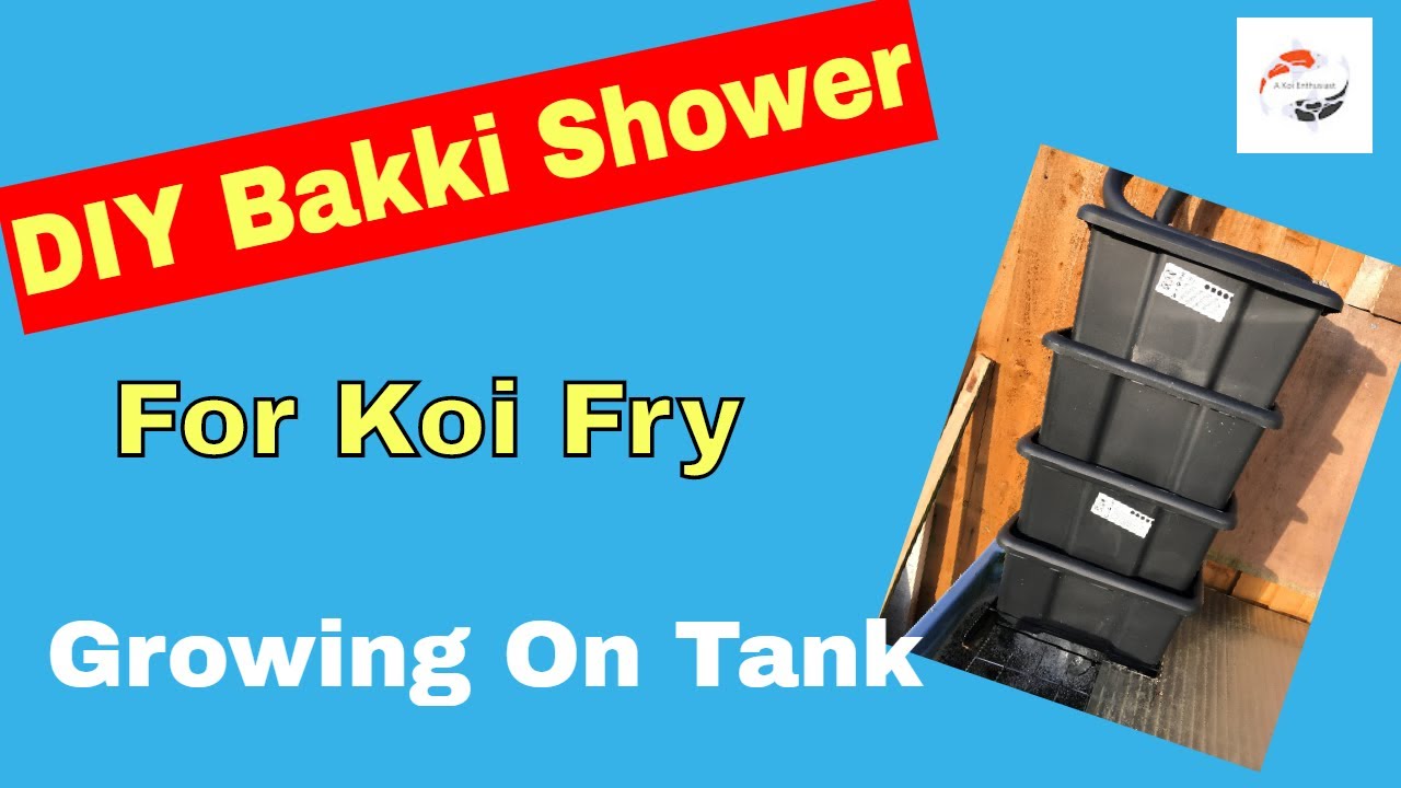 DIY Bakki Shower on a Koi Fry Growing On Tank For £6 DIY Insulation