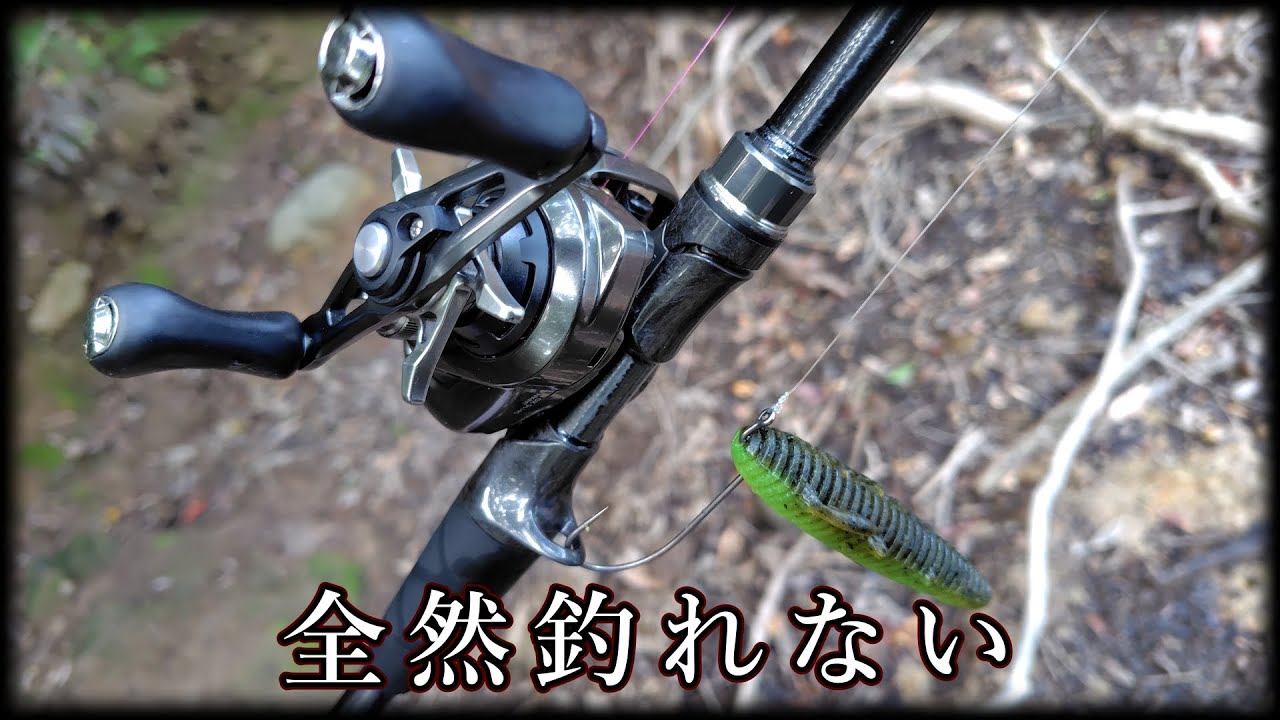 【軽ヘビー】沈み蟲の限界【一誠】