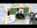 Edinburgh Zoo - Give a great gift for a good cause!