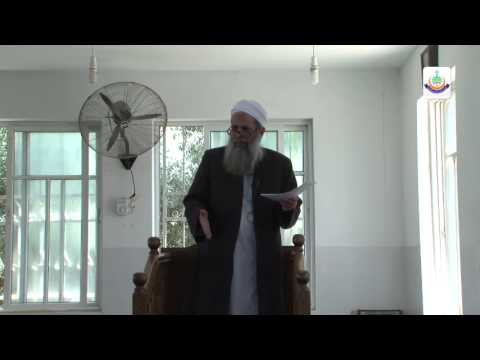 بيع الثمار والزروع بين التحريم والجواز