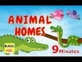 Learn About Different Animal Names And Homes | Animal Names And Homes For Kids