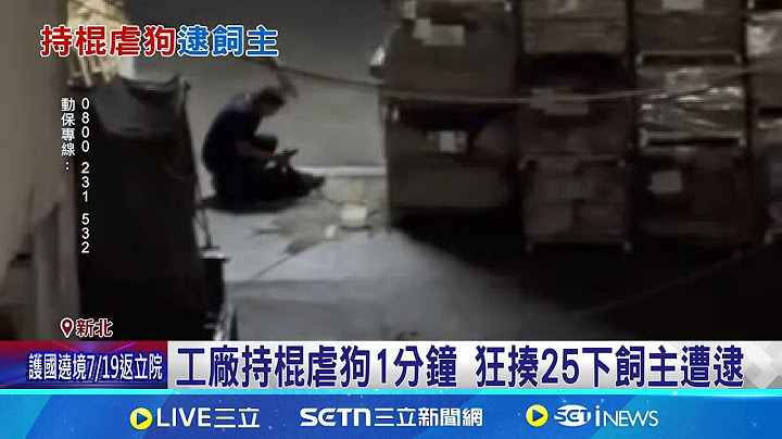 狗狗何辜！工廠持棍虐狗1分鐘不甩鄰居制止狂揍25下 動保處緊急安置 飼主遭逮辯"被牠咬才教訓"｜三立新聞網 SETN.com