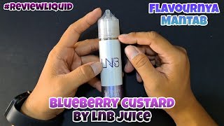 Blueberry Custard By LNB JUICE