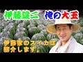 【伊藤家のスイカ】熊本県植木町のスイカ産地のご紹介