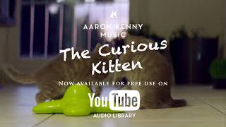 Video thumbnail of "The Curious Kitten"