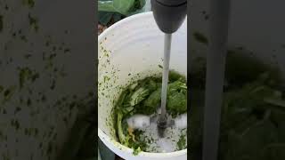 machine process for crushing leaves for chicken feed #shorts #viralshorts