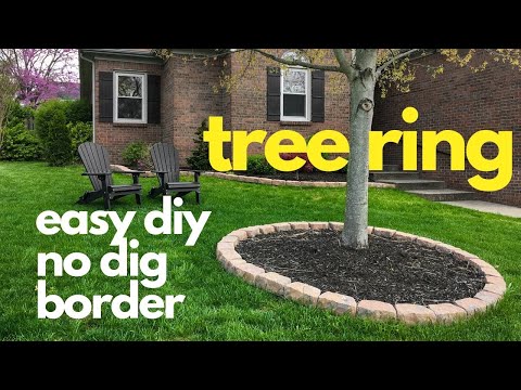 easy diy No Dig Border TREE RING