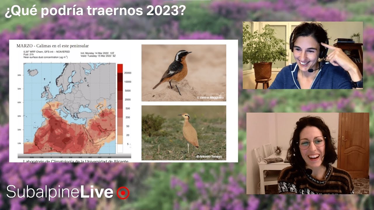 SubalpineLive P13T2 (04/01/23): ¿Qué puede traernos el 2023? + Vídeos de compañerxs