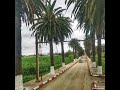 المقرئ رشيد المعيقلي سورة النبأ الحجار عنابة