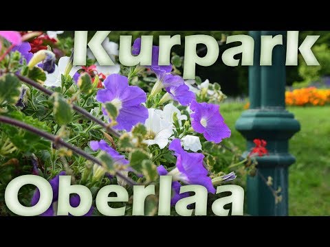 Kurpark Oberlaa - Ein Pflanzenparadis im Süden Wiens!