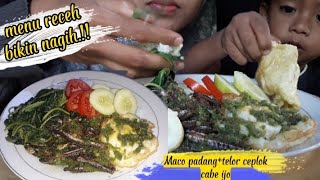 Maknyos.!!Asmr goreng maco padang telur ceplok cabe ijo||ASMR indonesia||ASMR mukbang