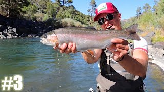 FLY FISHING NEW MEXICO | The Legendary Trout In The Rio Grande Gorge! EPIC FIGHT! (MH ep.3)