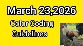March 23,2026 Color Coding Guidelines 