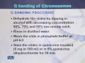 BIO301 Essentials of Genetics Lecture No 210