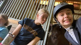 Equestrian Exchange Tack Haul 😀