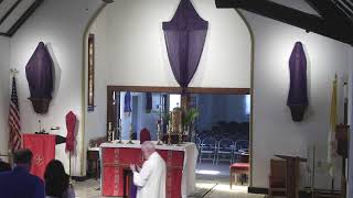 Palm Sunday of the Passion of the Lord 3-29-2026
