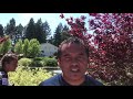 Richie Walker Reaction | 2018 Canada7s Cup Semifinal