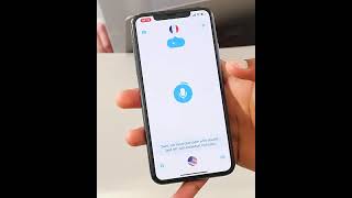 Language Translator
