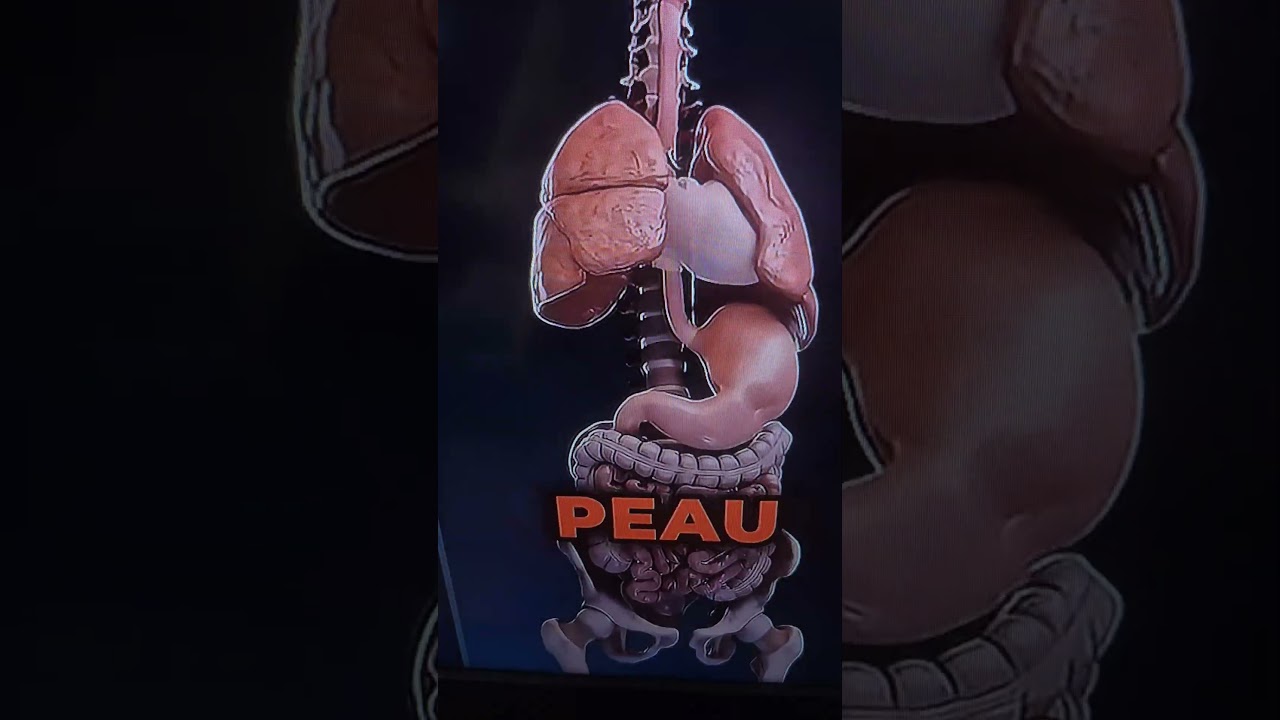 Ces aliments qui peuvent accélérer  le vieillissement !!