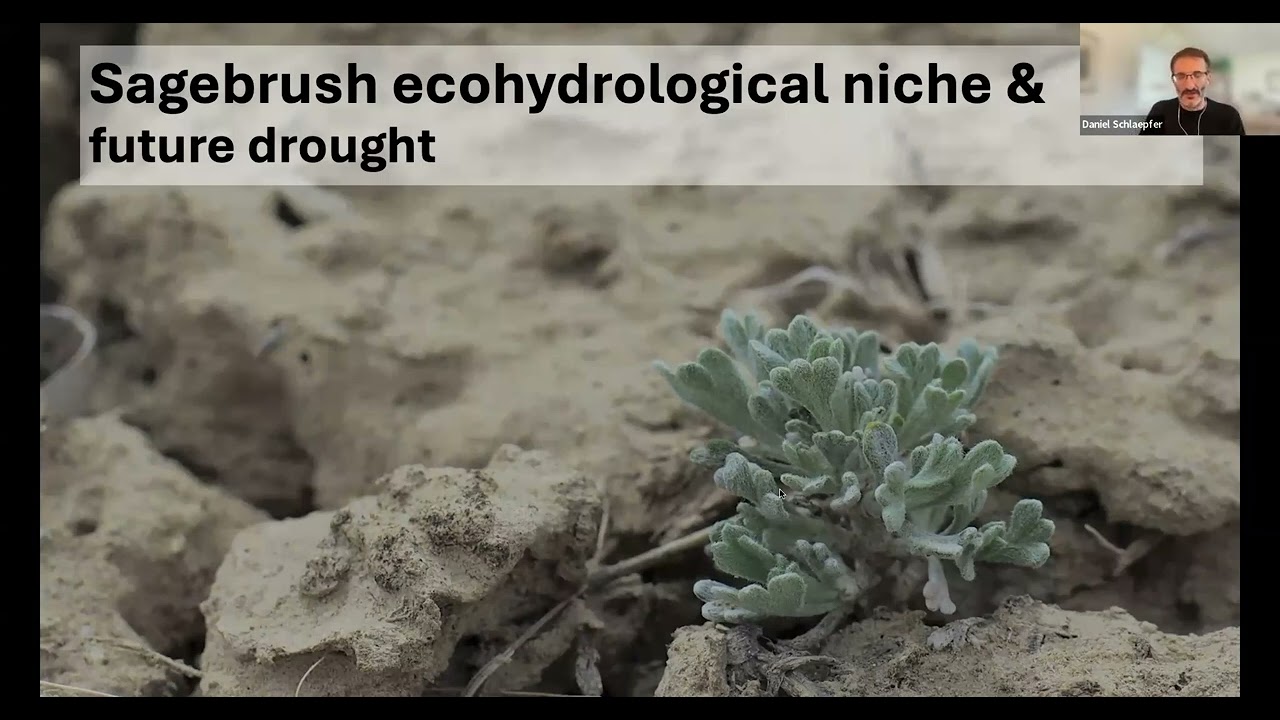 Assessing the Future of Sagebrush Ecosystems to Inform Climate Adaptation: April 10, 2025