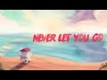 Miniature de la vidéo de la chanson Never Let You Go