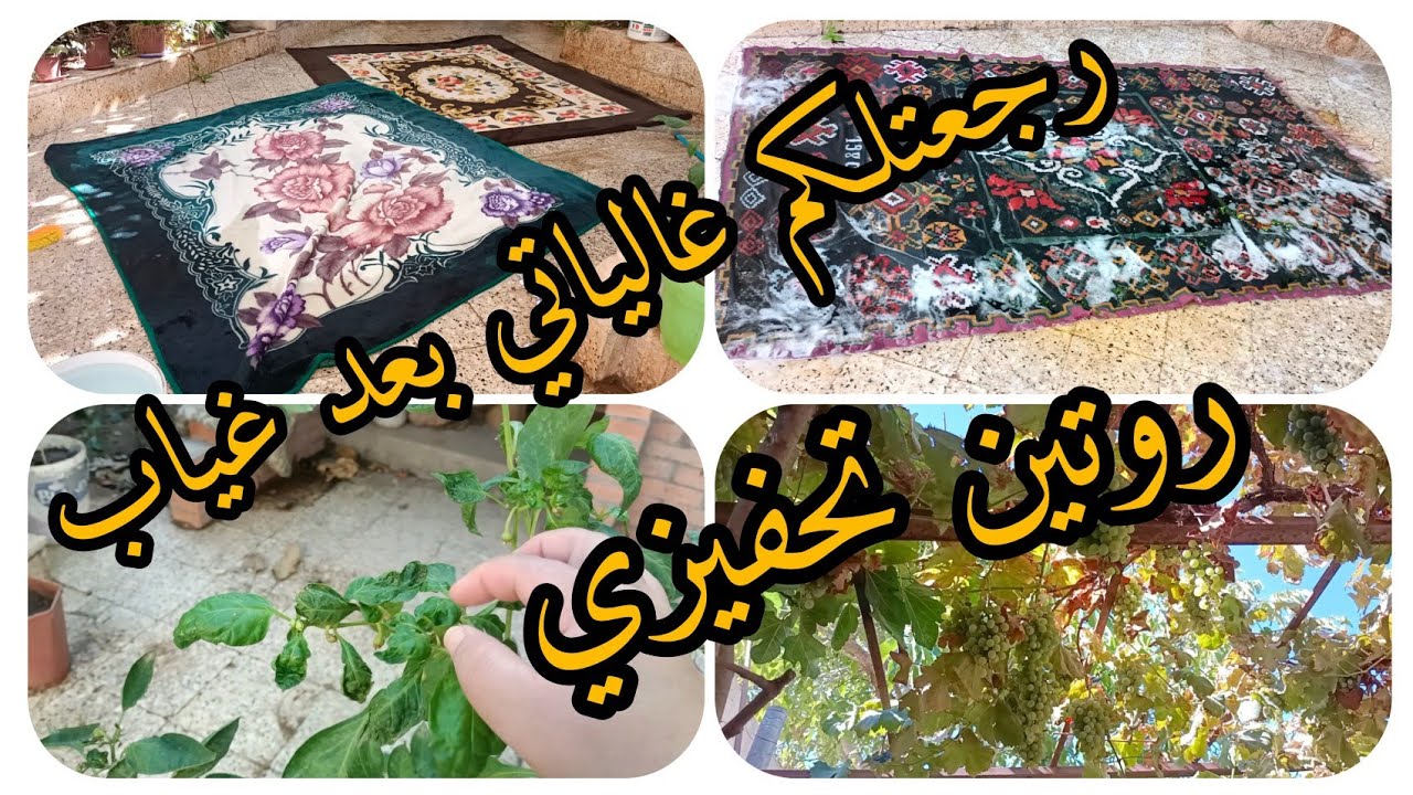 تنظيف عميق 1️⃣طاقة ايجابية بعد التنضيف جولة خفيفة في الحوش 