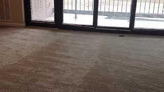 Water Park Towers Apartments - Crystal City Arlington VA - 2 Bedroom
