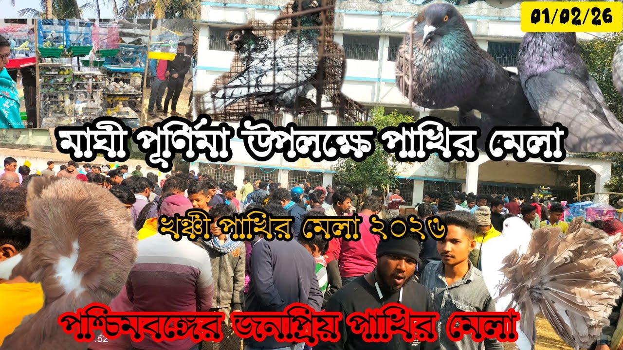 😱মাঘী পূর্ণিমা উপলক্ষে পাখির মেলা2026 খঞ্চী পাখির মেলা।। Recent khanchi birds mela@Samimalcare99 
