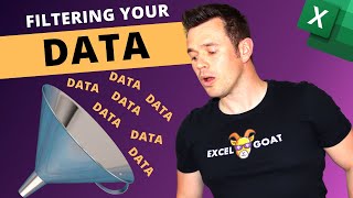 Lesson 11 - Using the Excel Filter Function
