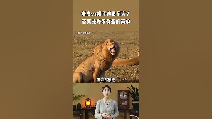 老虎vs狮子谁更厉害？从体型到实战对比，答案没你想的简单 科普 老虎 狮子