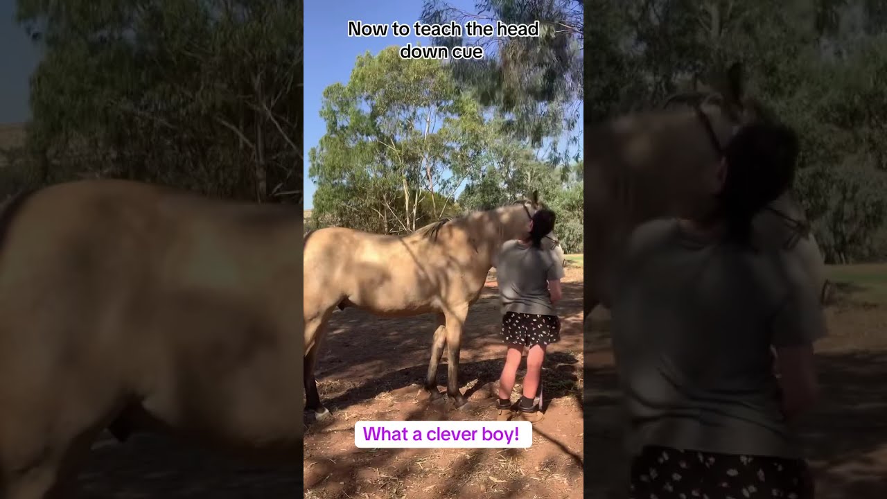 Foundation training session with Monty